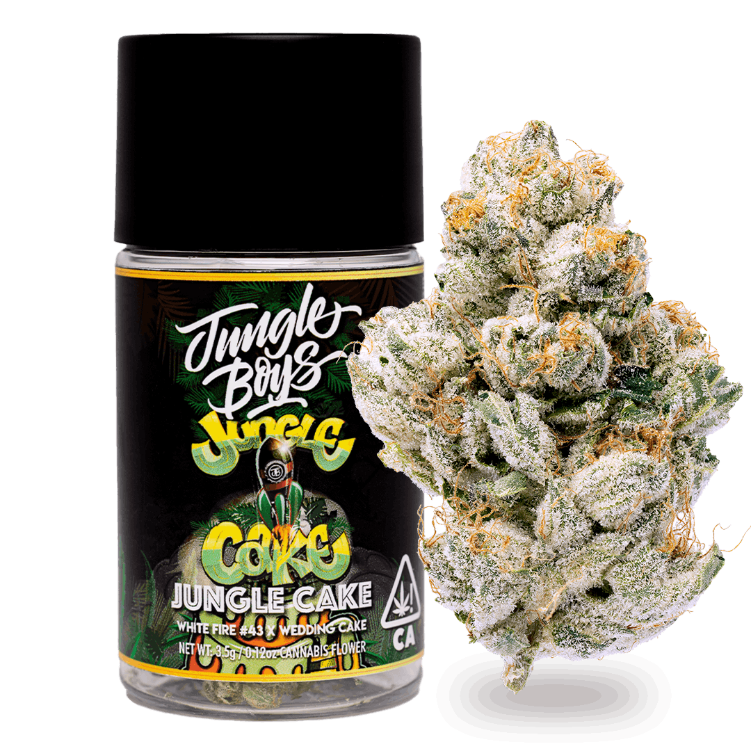 Jungle Boys Jungle Cake Zaza Zone